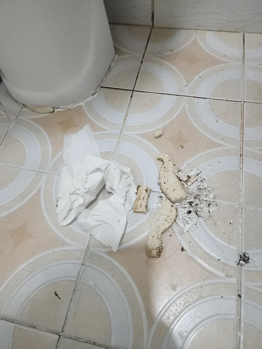 변기 백시멘트 제거 — 걷어 낸 백시멘트 조각
