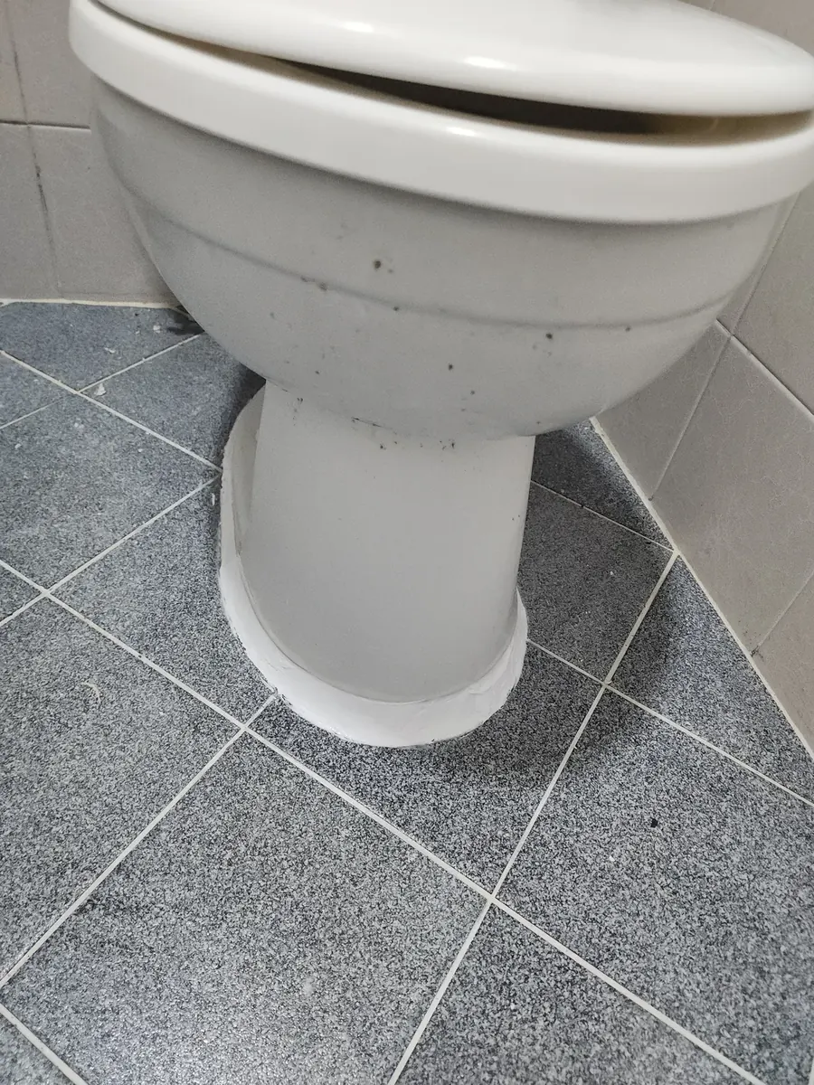 변기 테두리 재시공 — 새로 두른 흰 테두리